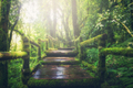 featured image thumbnail for post undefined